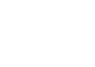 Synetcom Logo